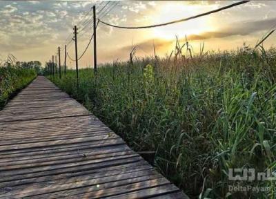 گذر از تالاب به دریا، روی پل چوبی کیاشهر